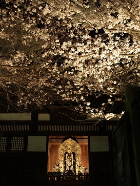 ankokuzi