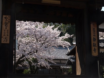 ssyoukanzi